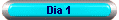 Dia 1