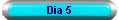 Dia 5