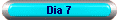 Dia 7