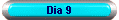 Dia 9
